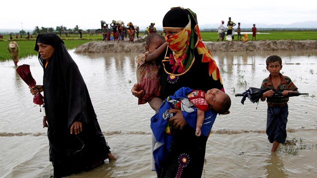 Une femme rohingya, qui fuit le Myanmar, traverse la frontière à Teknaf au Bangladesh, avec deux enfants dans ses bras.