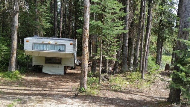 Une roulotte beige est sur le sol au milieu des arbres dans une forêt.