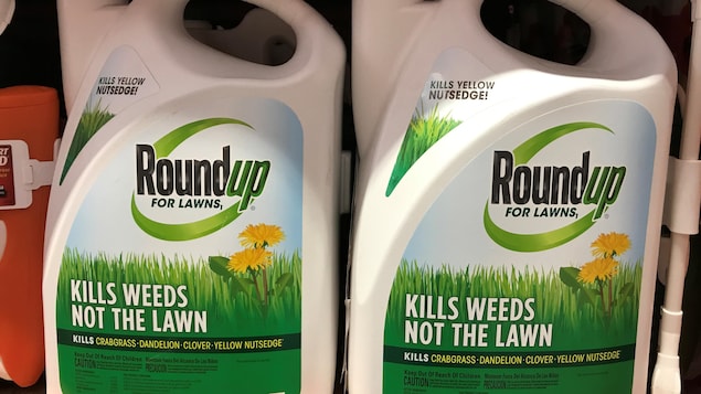 Des contenants de Roundup sur les tablettes d'un commerce.