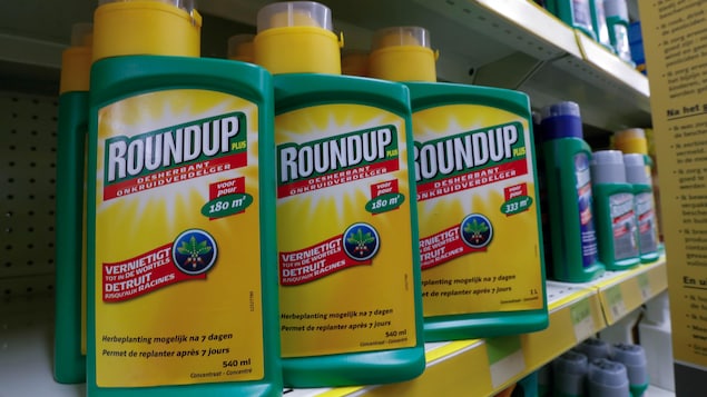 Des contenants du pesticide Roundup sur une tablette de magasin