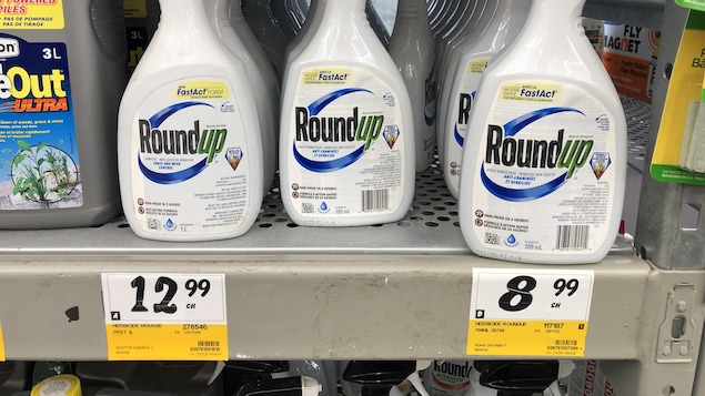 Du glyphosate est toujours vendu à Montréal malgré l’interdiction