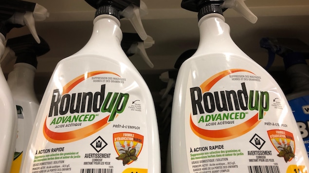 Herbicides sans glyphosate? Que savoir avant d’utiliser la maison (ou d’acheter de la nourriture à un fermier qui le crache)