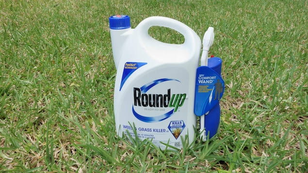 Une bouteille de Roundup placée sur une pelouse.