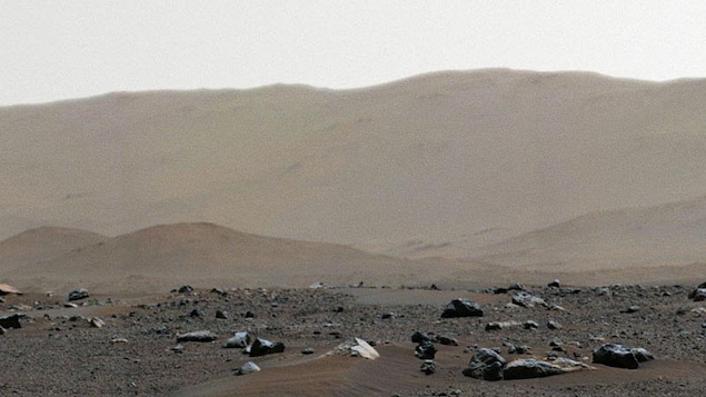 Développer des matières grasses pour le voyage vers la planète Mars