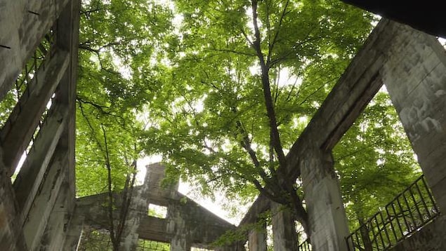Bâtiment en ruine sans toit avec des arbres qui poussent par les fenêtres. Bâtiment en ruine sans toit avec des arbres qui poussent par les fenêtres.