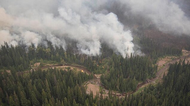 Vue aérienne du ruisseau avec des panaches de fumée et des flammes d'un côté Vue aérienne du ruisseau avec des panaches de fumée et des flammes d'un côté