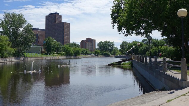 Image illustrant le ruisseau de la Brasserie à Gatineau. Image illustrant le ruisseau de la Brasserie à Gatineau.