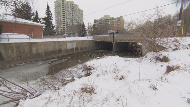 Un ruisseau en milieu urbain en hiver Un ruisseau en milieu urbain en hiver