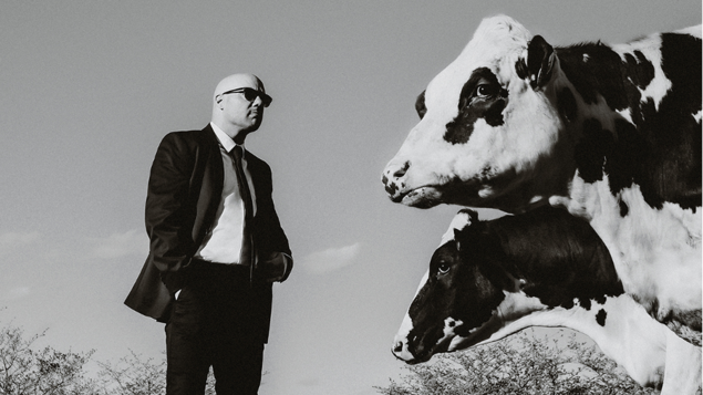 Un homme en complet se tient devant deux vaches laitières à l'extérieur. 