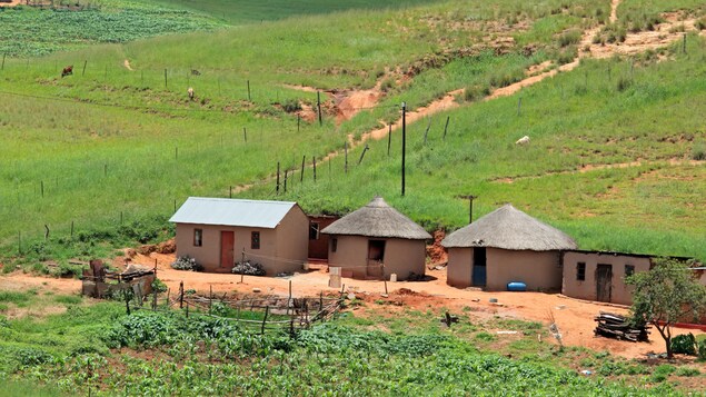Des huttes dans un village en Afrique du Sud