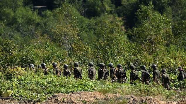 Des soldats russes en file s'apprêtent à entrer dans un terrain boisé.