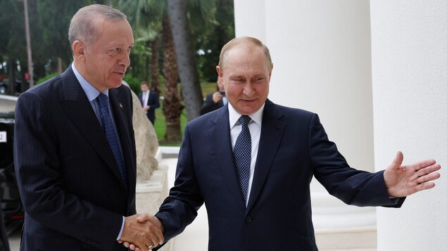Le président russe Vladimir Poutine et son homologue turc Recep Tayyip Erdogan.