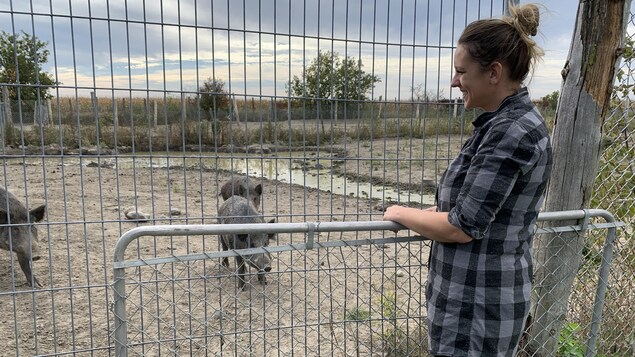 Ruth Ellen Brosseau regarde des sangliers dans un enclos.