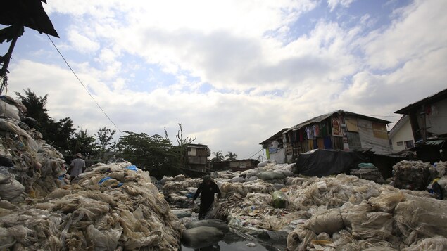 Un homme marche parmi des milliers de sacs de plastique vide. Un homme marche parmi des milliers de sacs de plastique vide.