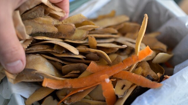 Une main dépose des pelures de pommes de terre et de carottes dans un sac de plastique compostable.