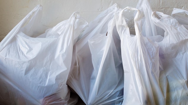 Trois sacs de plastique déposés sur le sol.