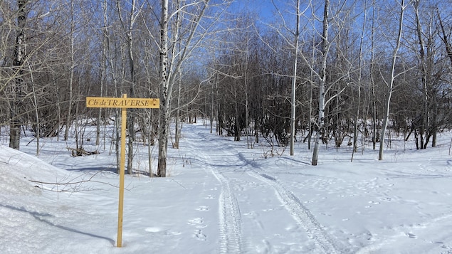 L'entrée d'un sentier vers un boisé. Le chemin est enneigé et une affiche à l'entrée du chemin indique Chemin de Traverse.