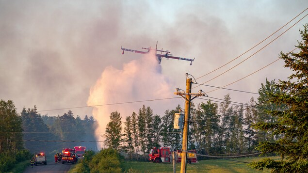 Un avion-citerne arrose la forêt tout près des pompiers et d'une route.