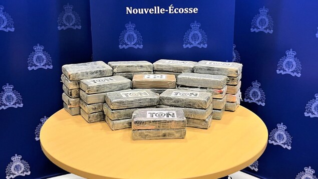 Des paquets de cocaïne disposés sur une table.