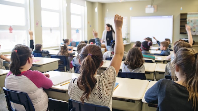 Des étudiants lèvent la main pour répondre à la question de la professeure dans une salle de classe.