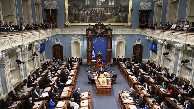 Les membres de l'Assemblée nationale sont installés dans le Salon bleu.