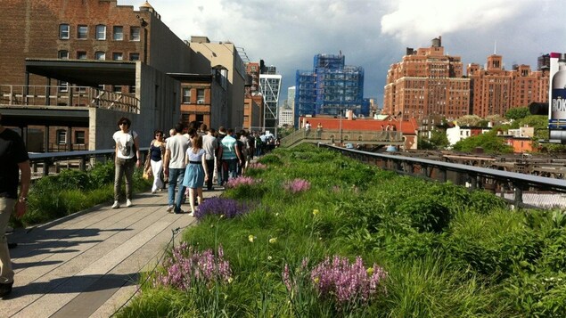 La High Line à Manhattan La High Line à Manhattan