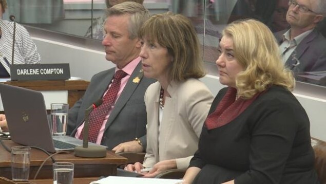 Le ministre de la Santé et du Mieux-être de l'Île-du-Prince-Édouard, Robert Henderson, et les responsables des services de santé mentale, Verna Ryan et la Dre Heather Keizer, ont comparu devant un comité parlementaire.