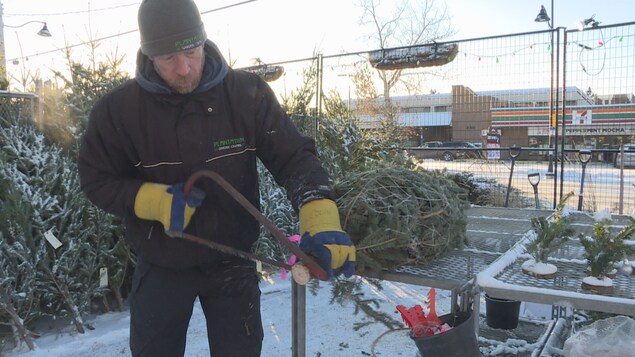 Colin Atter, propriétaire de Plantation Garden Centre à Calgary, qui coupe un arbre.