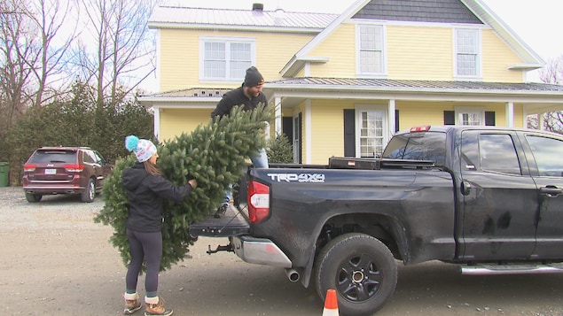 Un couple met son sapin dans la camionette.