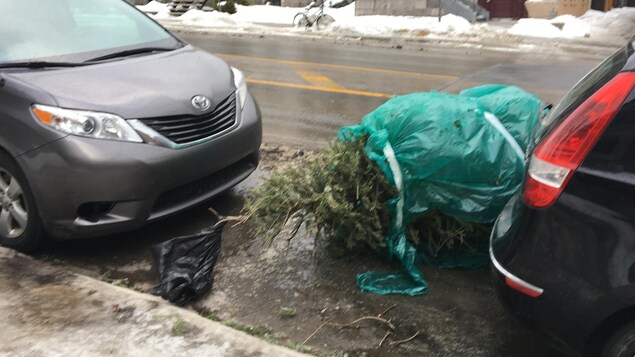 Un sapin emballé de plastique au bord du trottoir Un sapin emballé de plastique au bord du trottoir