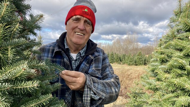 Michel Gravel tient un sapin.