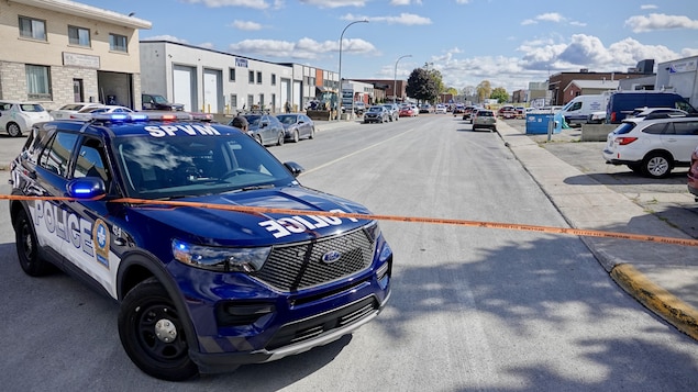 Hudo poškodovana ženska v napadu treh psov v Saint-Léonardu, dva psa ubita