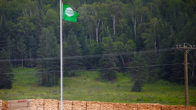 La scierie de J.D. Irving à Saint-Léonard est l'une des plus importantes usines de bois d'oeuvre du Nouveau-Brunswick. La scierie de J.D. Irving à Saint-Léonard est l'une des plus importantes usines de bois d'oeuvre du Nouveau-Brunswick.