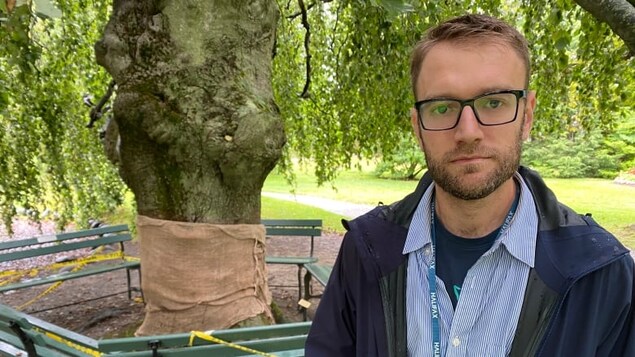 Plus de sécurité aux jardins publics après une attaque à la hache contre les arbres