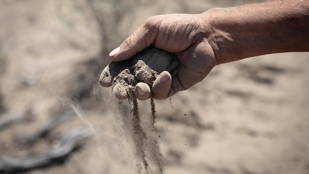Les impacts sanitaires du changement climatique empirent, selon le Lancet