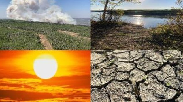 Les Prairies à risque de « sécheresses prolongées et plus de feux », selon des experts