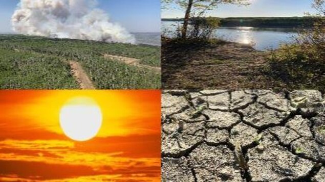 Les Prairies à risque de « sécheresses prolongées et plus de feux », selon des experts