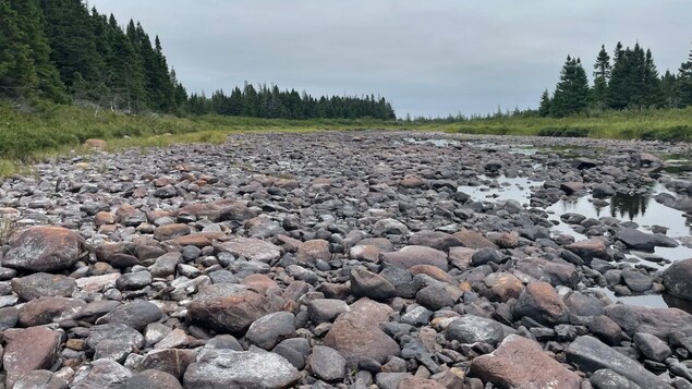 Le niveau de plusieurs rivières « désespérément » bas en été à Terre-Neuve