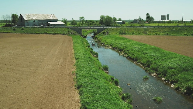 La rivière Boyer qui passe entre deux champs en culture.