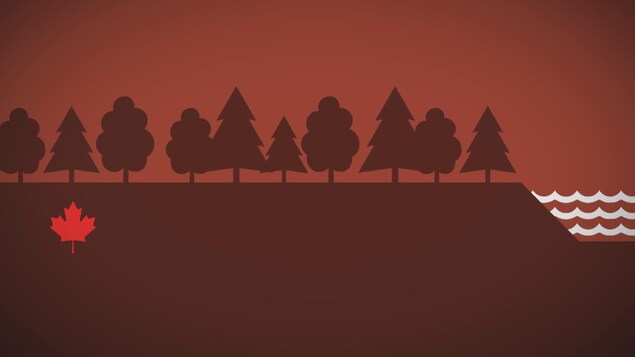 Image infographique d'une forêt près d'un cours d'eau.