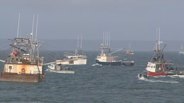 Le Sénat demande une refonte de la politique de pêche fondée sur les droits autochtones