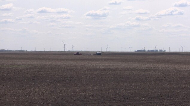 Des agriculteurs manitobains inquiets pour la période des semences