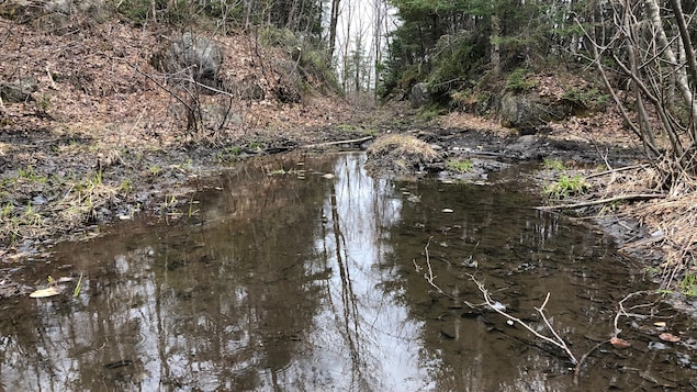 Un sentier est difficilement praticable en raison de l'eau.