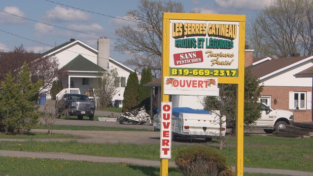 Sur une pelouse, un panneau des Serres Gatineau. Sur une pelouse, un panneau des Serres Gatineau.