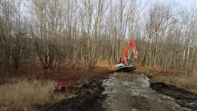Une pelle mécanique en action sur un chemin de roche dans la nature.