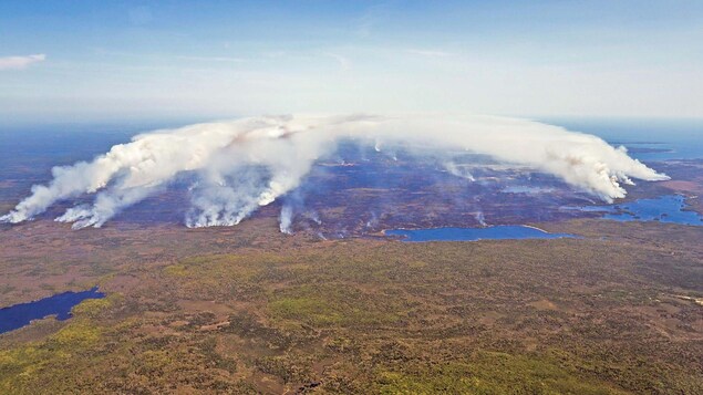 Vue aérienne du feu de forêt dans le comté de Shelburne.