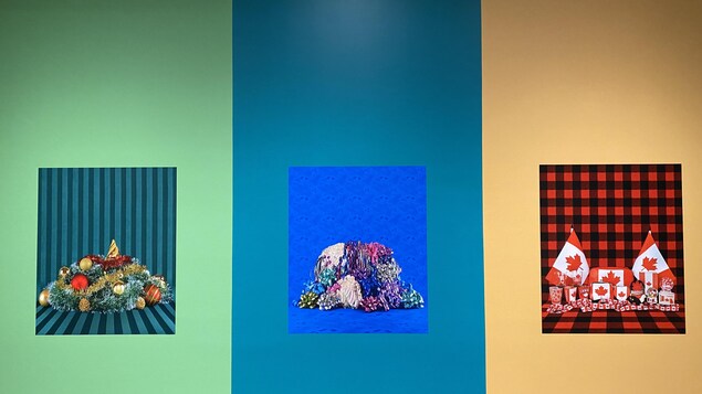 Trois images hautement colorées de produits que l'on peut trouver dans un magasin à un dollar: des décorations de Noël, des pompons en plastique, et de la marchandise à l'effigie du drapeau canadien.