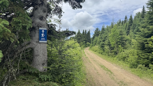 Entretien des sentiers : Rando Québec et le SIA interpellent les partis politiques