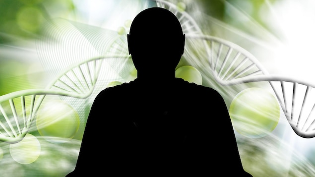Plus de 1200 variants génétiques associés à la personnalité identifiés