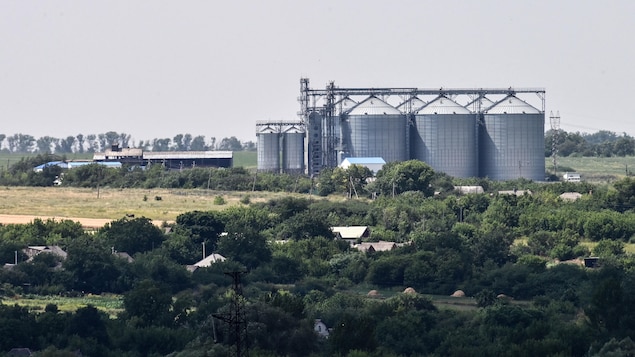 Une réunion entre Russes et Ukrainiens sur la question des exportations des céréales